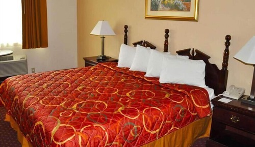 Room, 1 King Bed