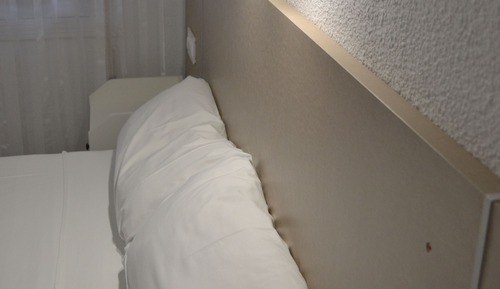 Classic Double or Twin Room