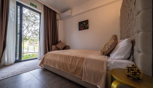 Economy Double Room, Mountain View
