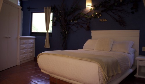 Room, 1 Double Bed, Pets Allowed, Mountain View