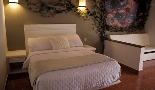 Room, 1 Double Bed, Pets Allowed, Mountain View