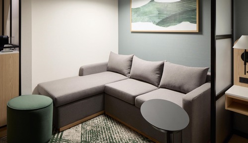 Room, 1 King Bed with Sofa bed