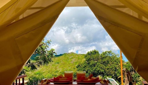 Comfort Tent