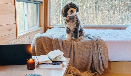 Standard Cabin, 1 Queen Bed