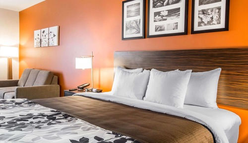 Room, 1 King Bed, Accessible, Non Smoking
