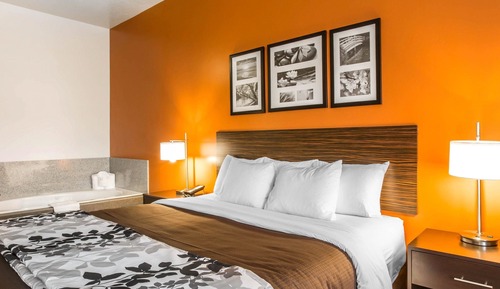 Junior Suite, 1 King Bed with Sofa bed, Non Smoking