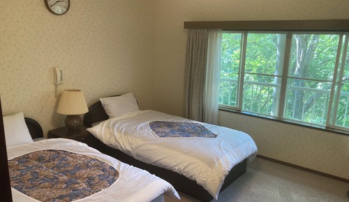 Deluxe Twin Room, Mountain View