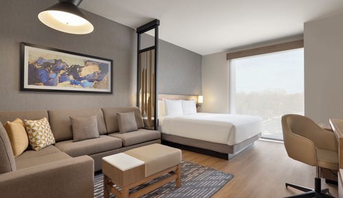 Room, 1 King Bed with Sofa bed