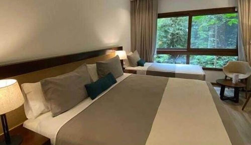 Standard Double Room, Park View