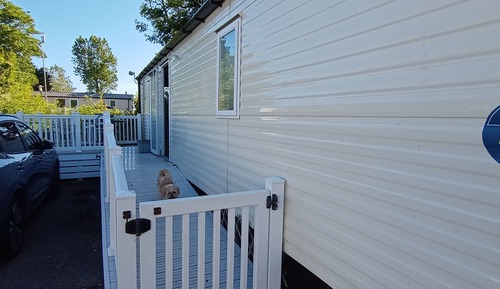 Cabin