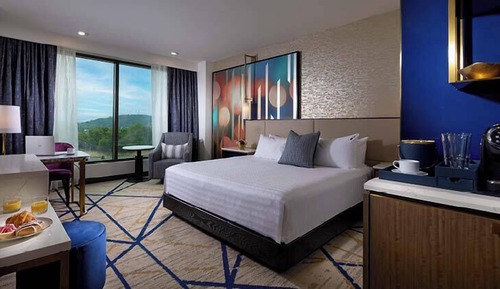 Deluxe Room, 1 King Bed, Roll-in Shower