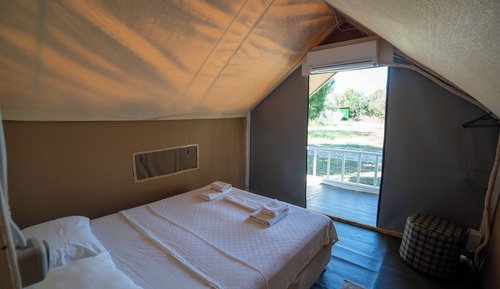 Standard Tent