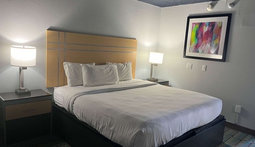 Standard Room, 1 King Bed, Non Smoking, Kitchen