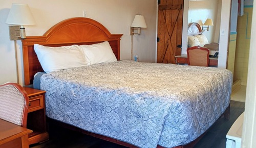 Basic Single Room