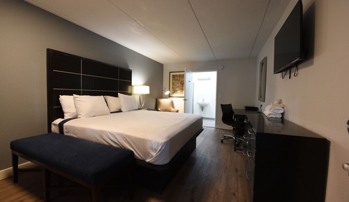 Economy Studio Suite