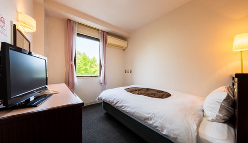 Single Room, Non Smoking