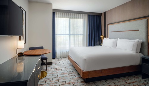 Room, 1 King Bed, Mountain View