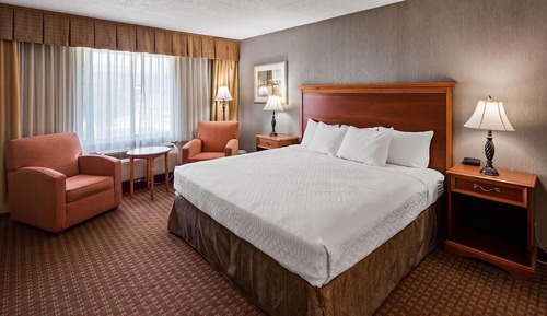 Room, 1 Queen Bed, Accessible, Non Smoking (Mobility, Roll-in Shower)