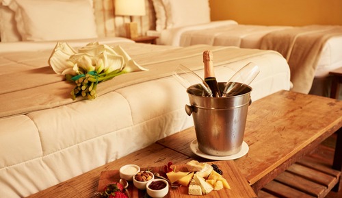 Premium Room