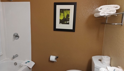 Room, 1 Queen Bed, Mobility Accessible, Non Smoking (Bathtub W/grab Bars)
