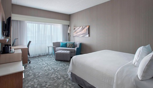 Room, 1 King Bed with Sofa bed (Hearing Accessible)