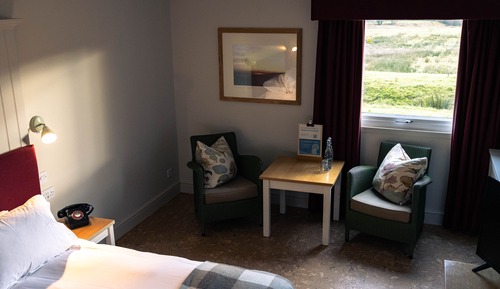 Classic Single Room (Pet friendly)