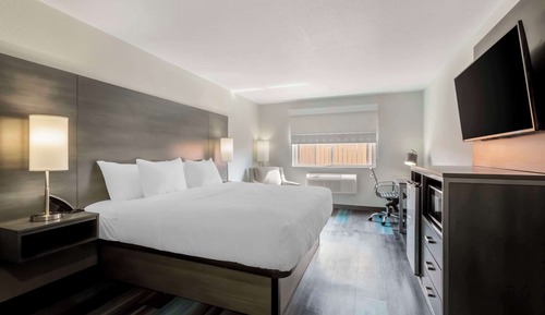 Standard Room, 1 King Bed, Non Smoking