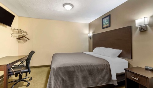 Standard Room, 1 King Bed, Non Smoking