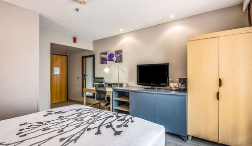 Room, 1 Queen Bed, Accessible, Non Smoking