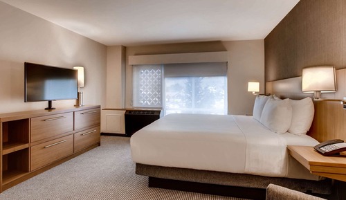Room, 1 King Bed, Accessible, Bathtub