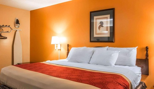 Standard Room, 1 King Bed, Non Smoking