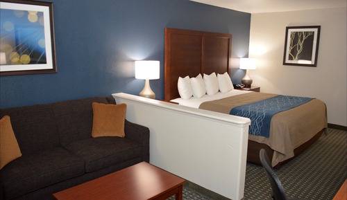 Executive Room, 1 King Bed with Sofa bed, Non Smoking, Refrigerator & Microwave (with Sofabed)