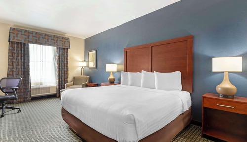 Standard Room, 1 King Bed, Non Smoking, Refrigerator & Microwave