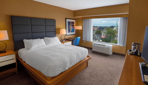 Room, 1 King Bed, Accessible (Mobility, Roll-In Shower)