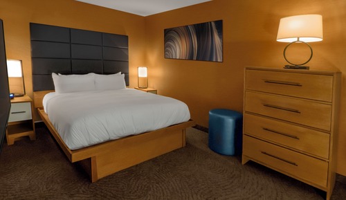 Suite, 1 King Bed