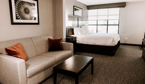 Standard Room, 1 King Bed with Sofa bed