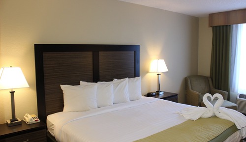 Room, 1 King Bed, Accessible, Non Smoking (Mobility/Hearing, Roll-in shower)