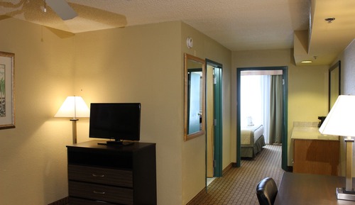 Suite, 1 King Bed, Non Smoking (One-Bedroom)