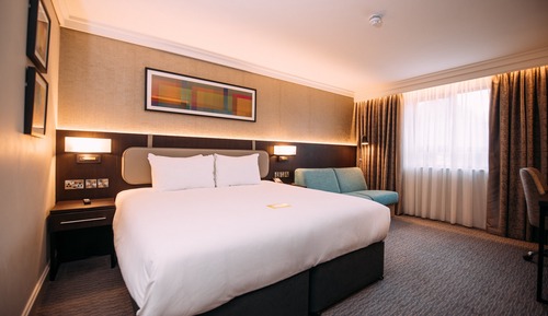 Standard Room, 1 King Bed with Sofa bed
