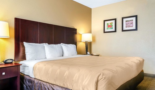 Room, 1 King Bed with Sofa bed, Non Smoking