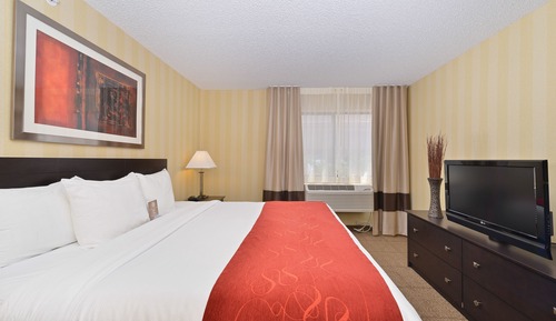 Suite, 1 King Bed with Sofa bed, Non Smoking