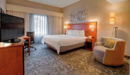 Room, 1 King Bed