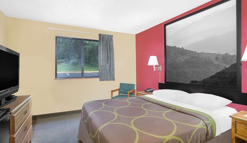 Room, 1 Queen Bed, Accessible, Non Smoking (Mobility Accessible)