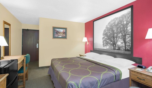 Room, 1 King Bed, Non Smoking