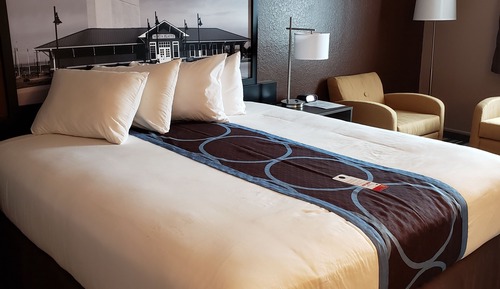 Room, 1 King Bed, Non Smoking
