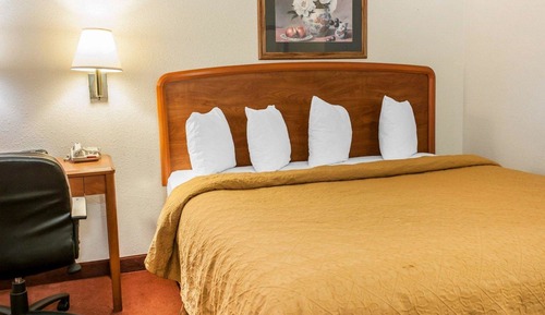 Standard Room, 1 King Bed, Non Smoking