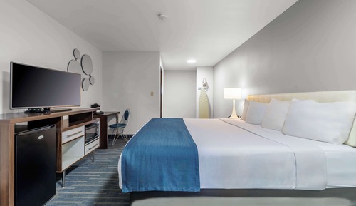 Standard Room, 1 King Bed, Non Smoking, Refrigerator & Microwave