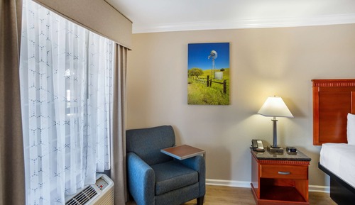 Standard Room, 1 King Bed, Non Smoking, Refrigerator & Microwave