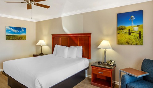 Standard Room, 1 King Bed, Accessible, Non Smoking