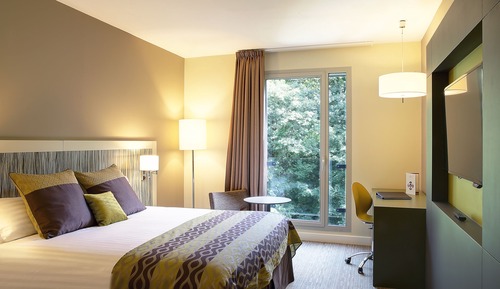 Standard Room, 1 King Bed, Non Smoking (Forest)
